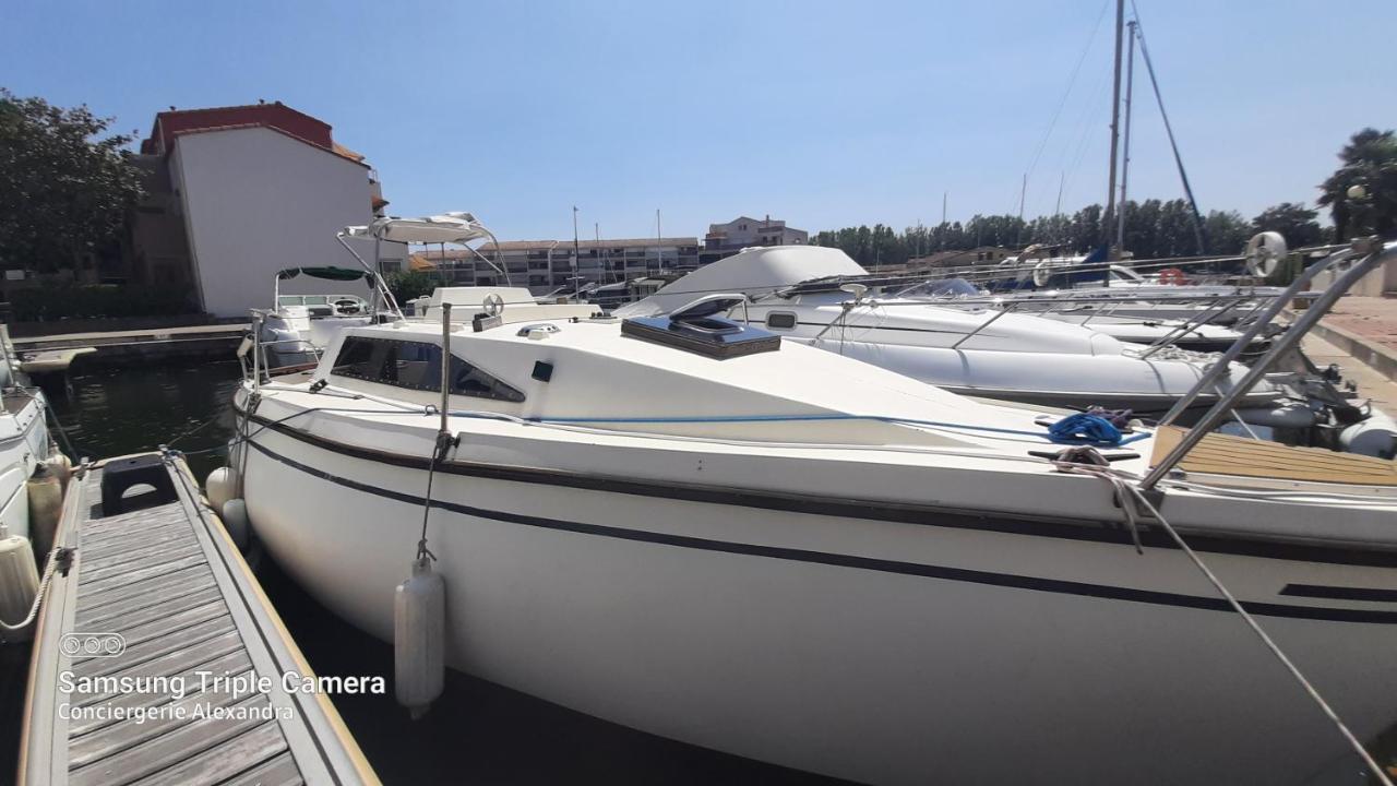 Nuit Insolite A Bord De L'Enata Un Voilier A Quai Sur La Marina De St Cyprien Saint-Cyprien  Eksteriør bilde